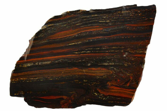 Polished Tiger Iron Stromatolite - Billion Years #129282